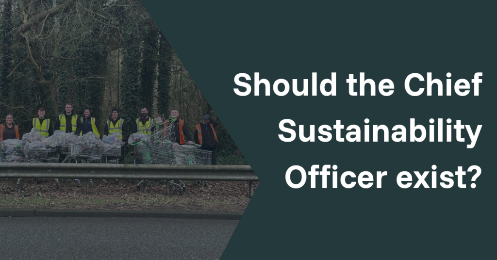 Should the Chief Sustainability Officer exist?